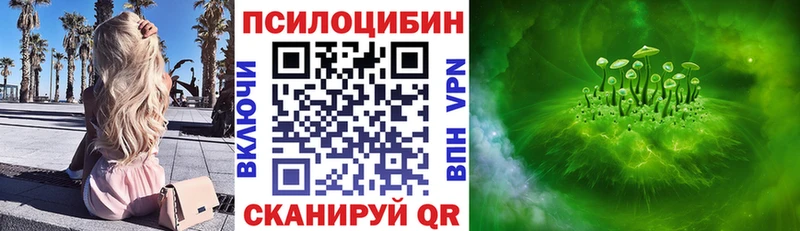 Псилоцибиновые грибы мухоморы  Купить  Новоалександровск 