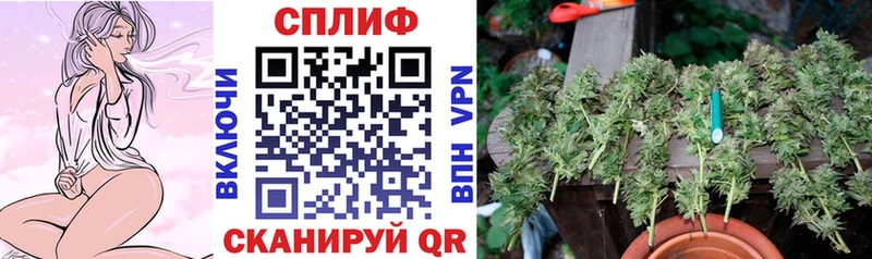 Купить где  Новоалександровск  Канабис OG Kush 